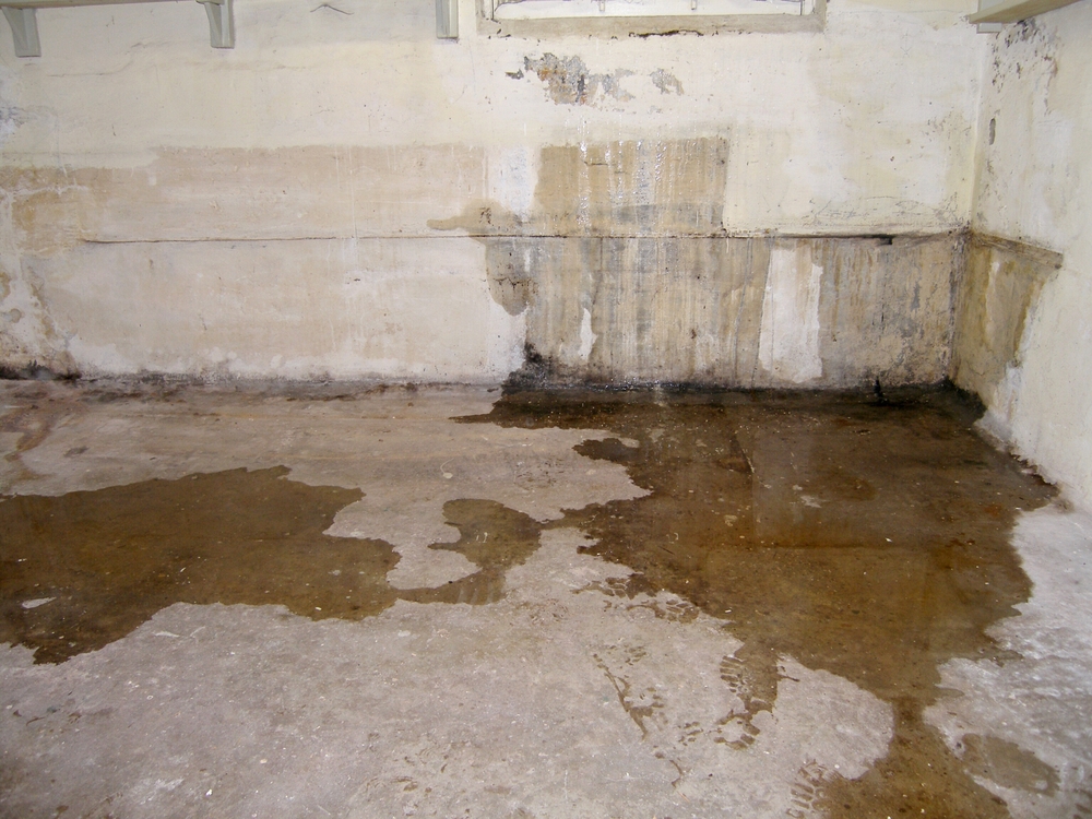 Amsterdam, ,august,30,,2010.,leakage,of,groundwater,through,a