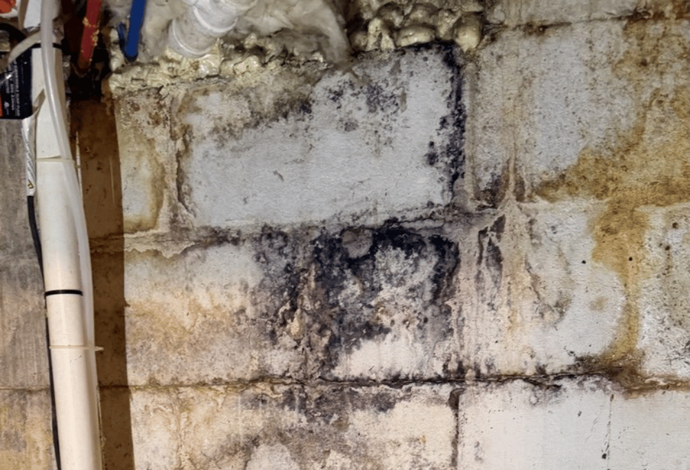 CMU foundation wall with moisture staining in a Newburyport MA basement