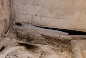 Existing Exposed Floor Membrane Newburyport, Ma