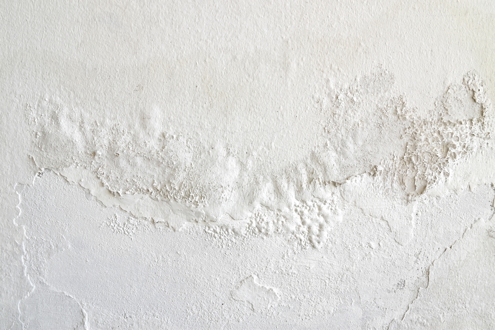 How to Tell If That Moisture Is a Leak or Just Condensation