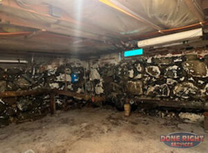 Basement Newton 1 Watermarked