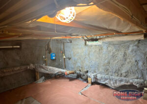 Basement Newton 2 Watermarked