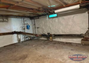 Basement Newton 3 Watermarked