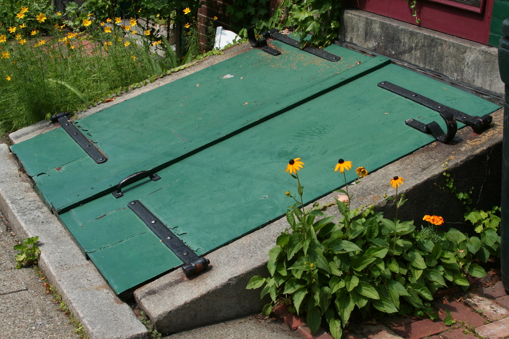 Green,cellar,door,framed,with,black,eyed,susan.