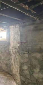 Image2