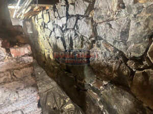 Image5 (10)
